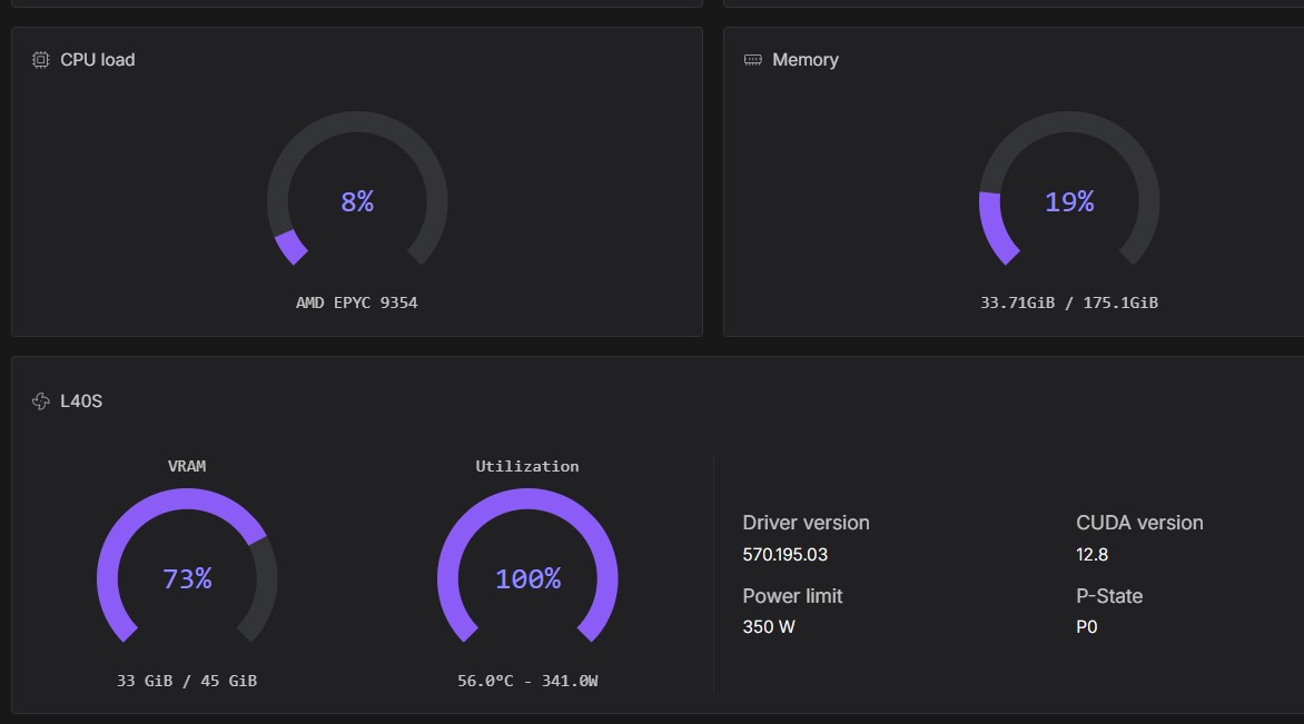 SenseNova U1.5 bf16 running on an L40S