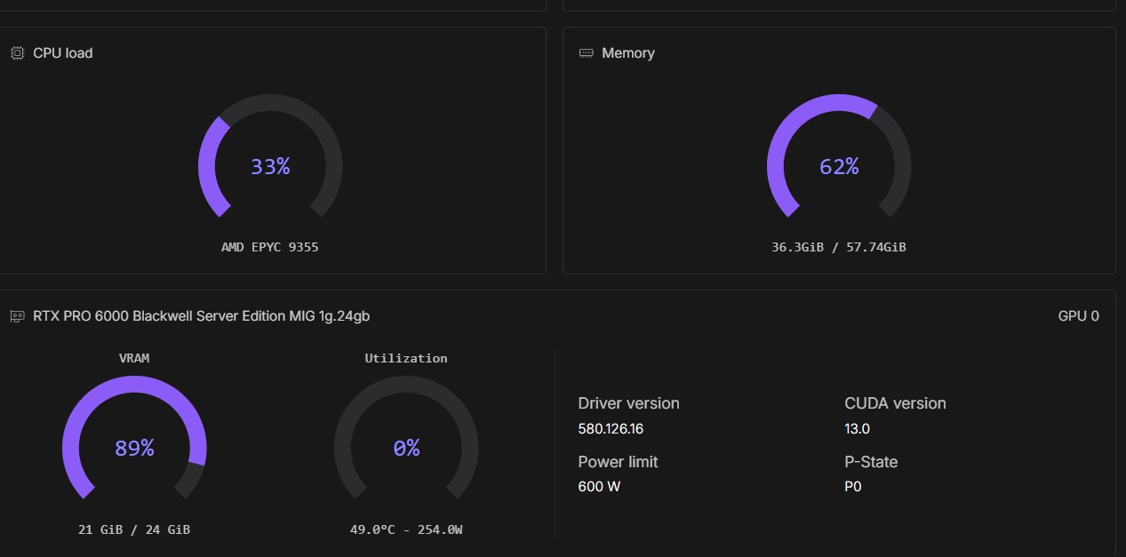 Qwen-Image 2.1 running on an RTX PRO 6000 MiG 24 Gb